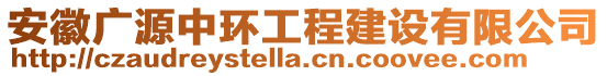 安徽廣源中環工程建設有限公司