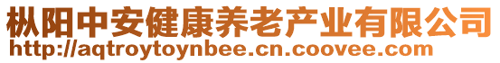 枞阳中安健康养老产业有限公司