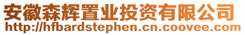 安徽森輝置業(yè)投資有限公司