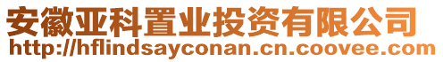 安徽亞科置業(yè)投資有限公司