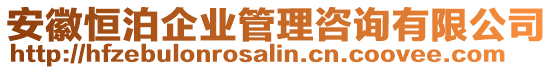 安徽恒泊企業(yè)管理咨詢有限公司