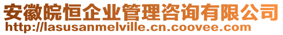 安徽皖恒企業(yè)管理咨詢有限公司