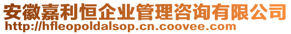 安徽嘉利恒企業(yè)管理咨詢有限公司