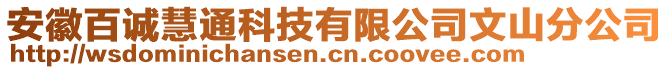 安徽百誠慧通科技有限公司文山分公司