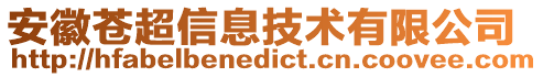 安徽蒼超信息技術有限公司