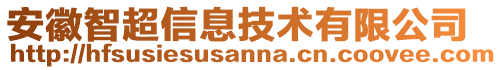 安徽智超信息技術有限公司