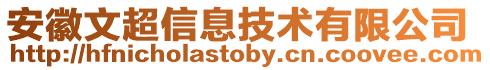 安徽文超信息技術(shù)有限公司