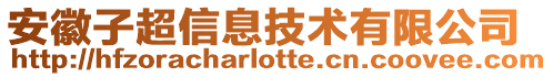 安徽子超信息技術(shù)有限公司