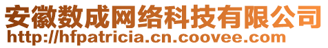 安徽數(shù)成網(wǎng)絡(luò)科技有限公司