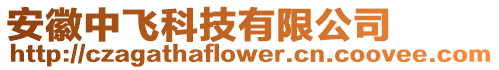 安徽中飛科技有限公司