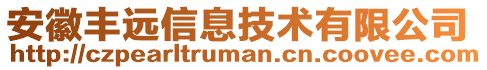 安徽豐遠信息技術有限公司