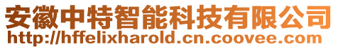 安徽中特智能科技有限公司