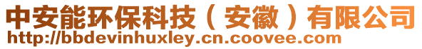 中安能環(huán)保科技（安徽）有限公司