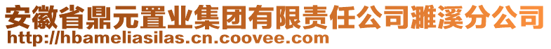 安徽省鼎元置業集團有限責任公司濉溪分公司