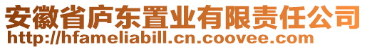 安徽省廬東置業(yè)有限責(zé)任公司