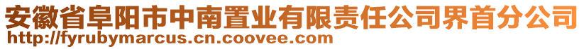 安徽省阜陽(yáng)市中南置業(yè)有限責(zé)任公司界首分公司