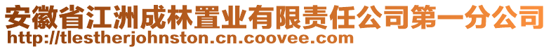 安徽省江洲成林置業(yè)有限責任公司第一分公司
