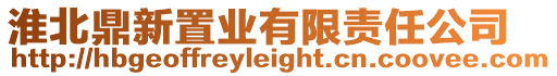 淮北鼎新置業有限責任公司