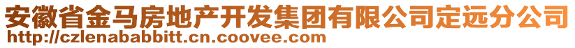 安徽省金馬房地產(chǎn)開發(fā)集團(tuán)有限公司定遠(yuǎn)分公司