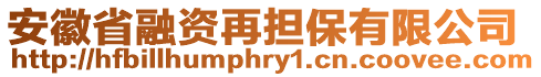 安徽省融資再擔保有限公司