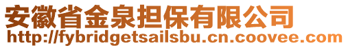 安徽省金泉擔(dān)保有限公司