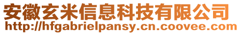 安徽玄米信息科技有限公司