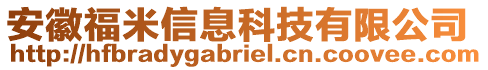 安徽福米信息科技有限公司