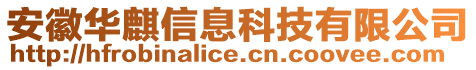 安徽華麒信息科技有限公司