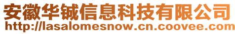 安徽華鋮信息科技有限公司