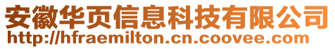 安徽華頁信息科技有限公司