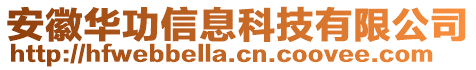 安徽華功信息科技有限公司