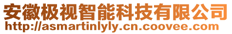 安徽極視智能科技有限公司