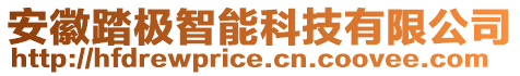 安徽踏極智能科技有限公司