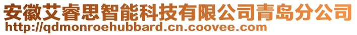 安徽艾睿思智能科技有限公司青島分公司