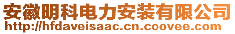 安徽明科電力安裝有限公司