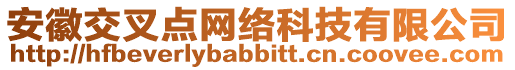 安徽交叉點網(wǎng)絡(luò)科技有限公司