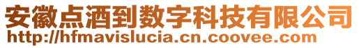 安徽點(diǎn)酒到數(shù)字科技有限公司