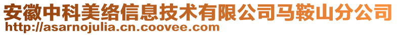 安徽中科美絡信息技術有限公司馬鞍山分公司