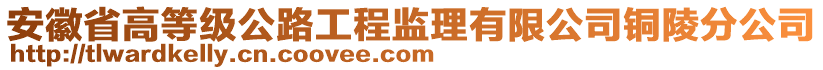 安徽省高等級公路工程監理有限公司銅陵分公司