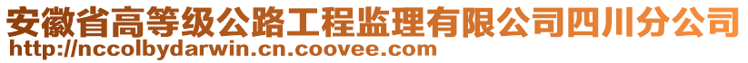 安徽省高等級公路工程監(jiān)理有限公司四川分公司