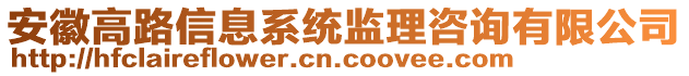 安徽高路信息系統(tǒng)監(jiān)理咨詢有限公司