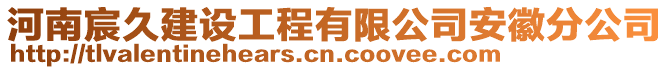 河南宸久建設工程有限公司安徽分公司