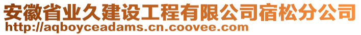 安徽省業(yè)久建設(shè)工程有限公司宿松分公司