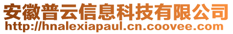 安徽普云信息科技有限公司