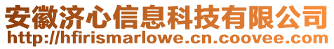 安徽濟(jì)心信息科技有限公司