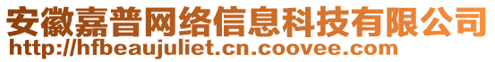 安徽嘉普網(wǎng)絡(luò)信息科技有限公司