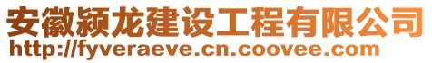 安徽潁龍建設工程有限公司
