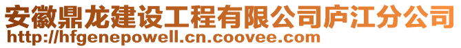 安徽鼎龍建設(shè)工程有限公司廬江分公司