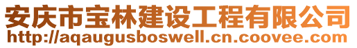 安慶市寶林建設(shè)工程有限公司