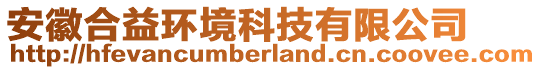 安徽合益環(huán)境科技有限公司